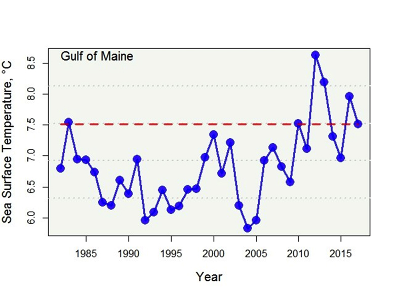 Gulf of Maine Sea Surface Temperature Audubon Project Puffin