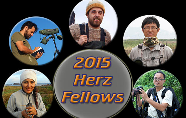 2015 Josephine Daneman Herz International Seabird Fellows