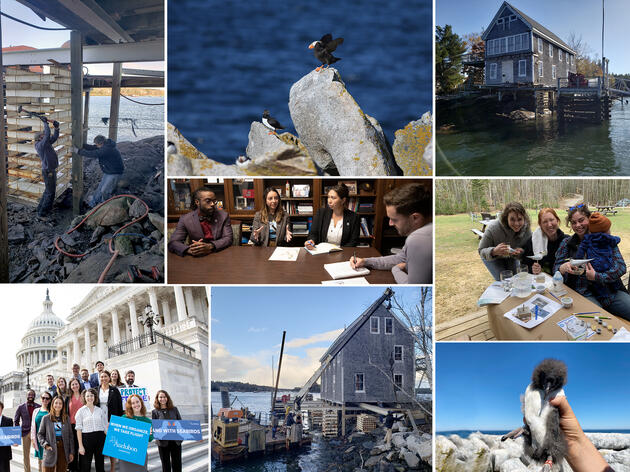 2022 Seabird Institute Year in Review