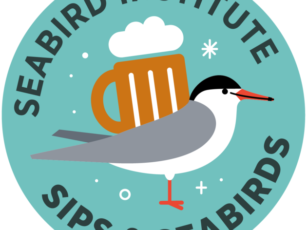 Sips and Seabirds