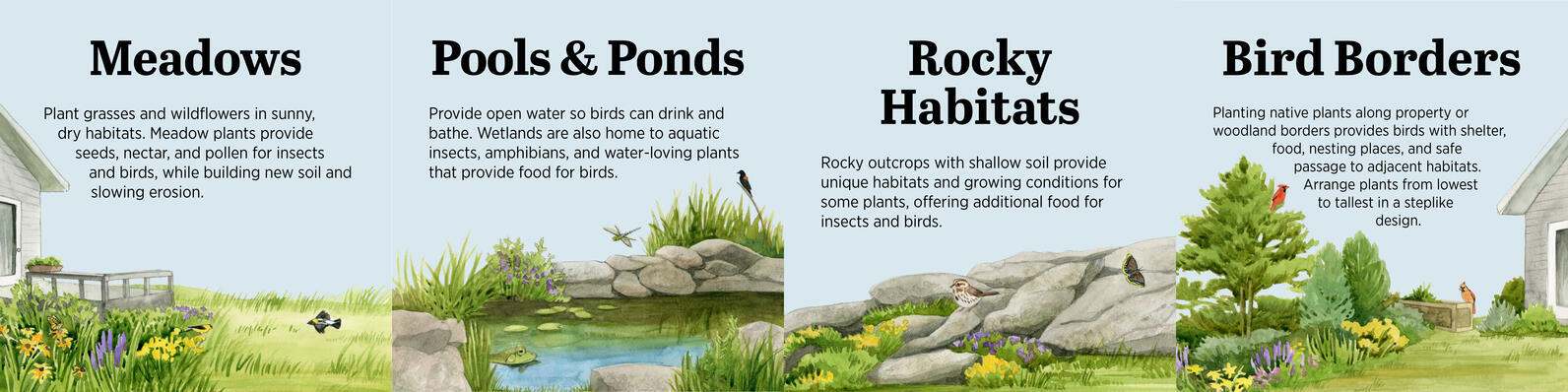 All Four Small Kress Audubon Garden Signs