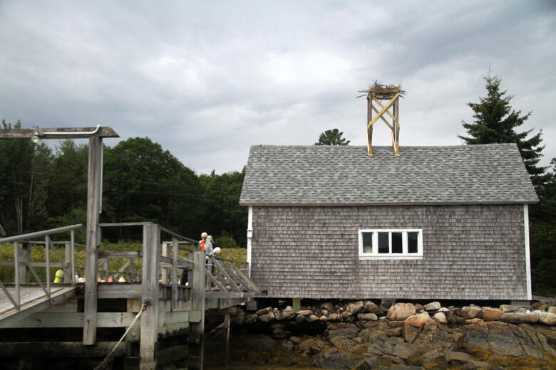Boat House Osprey Cam