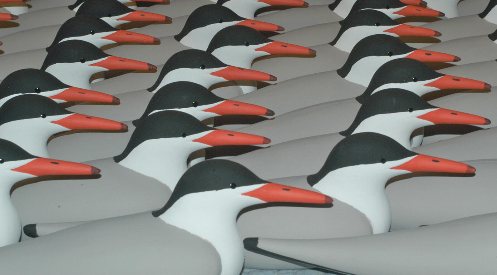 Common Tern Decoys Line Up
