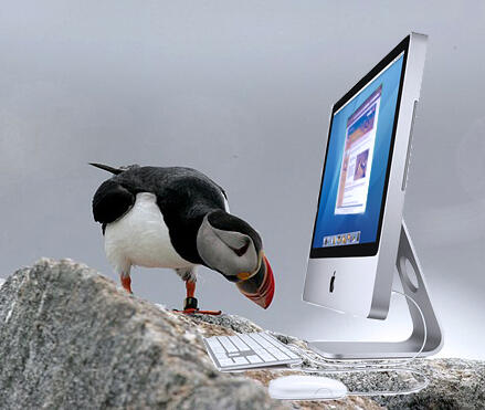 Puffin with iMac