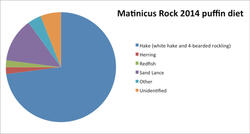 Matinicus Island Puffin Diet Pie Graph 2014