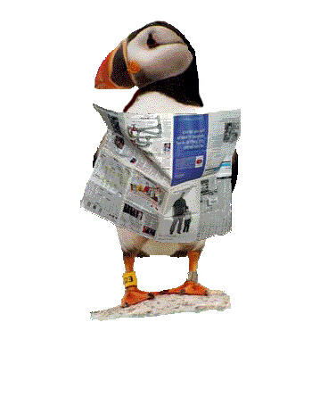 News Puffin Cropped