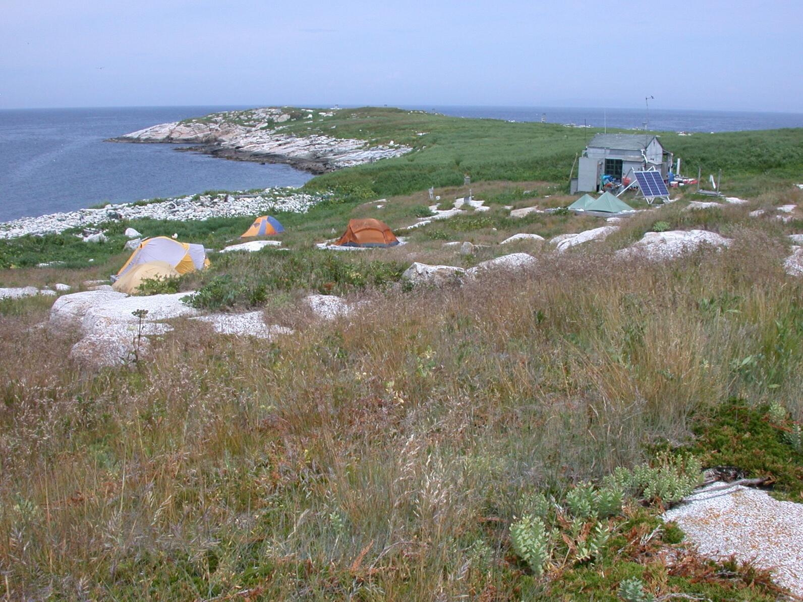 North End of Seal Island NWR with tents and cabin