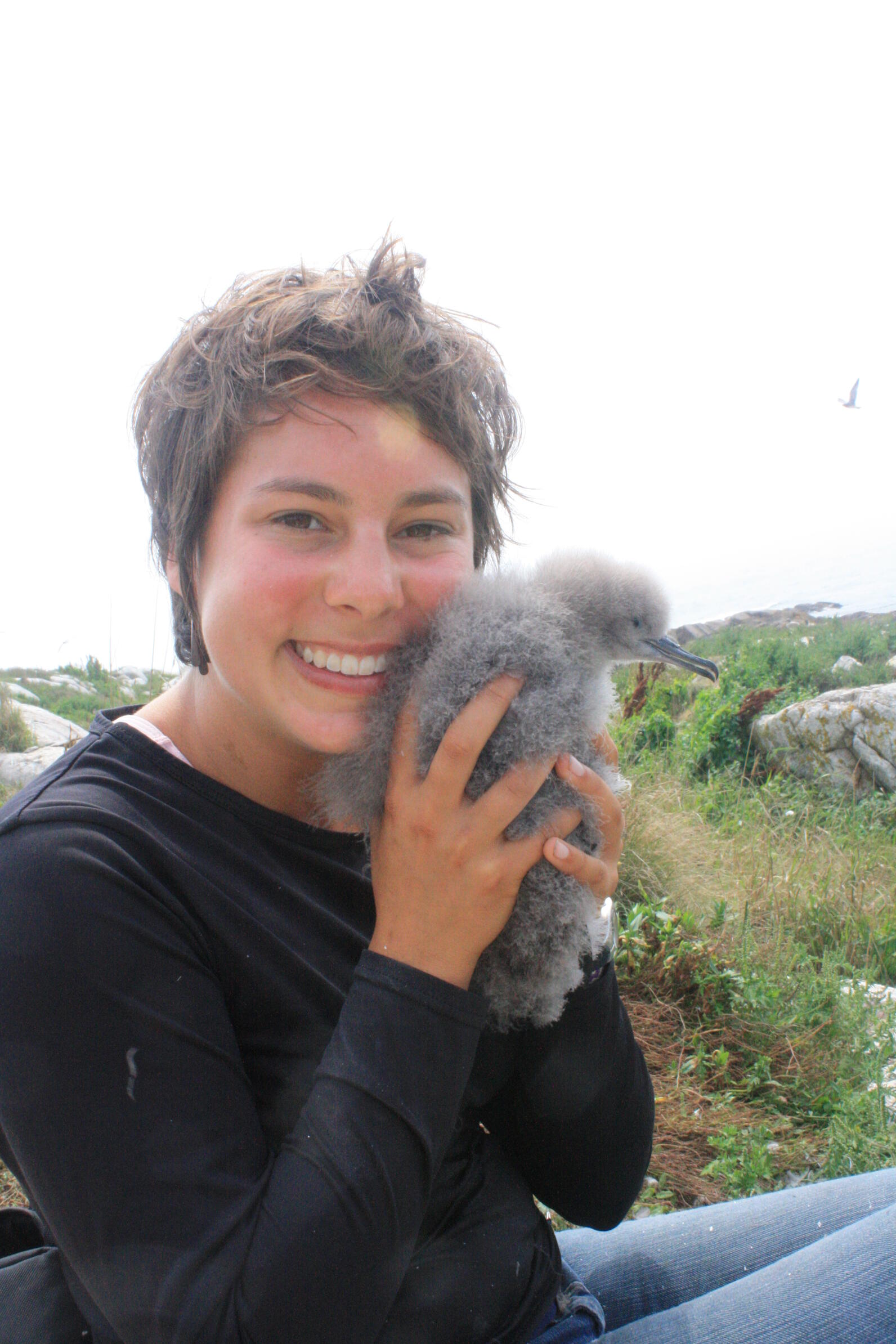 Volunteer with Manx Shearwater Chick on Matinicus Rock
