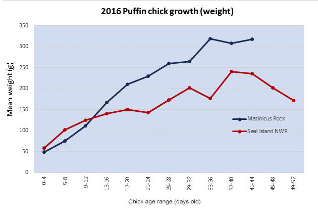 Puffin Chick Growth in Weight