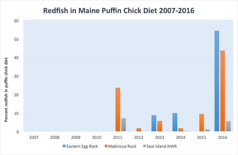 Redfish in Maine Puffin Chick Diet 2007-2016 Graph